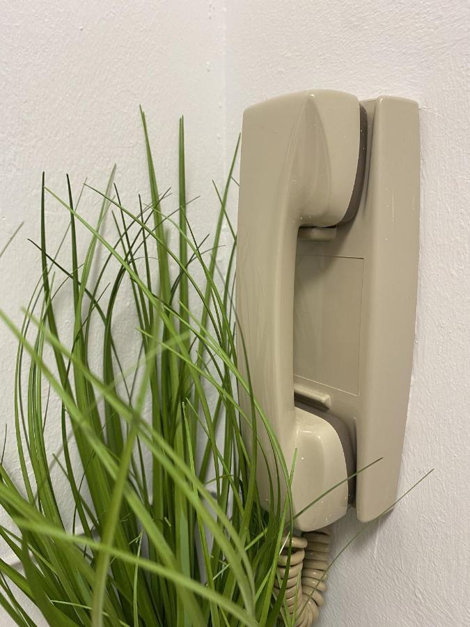 #Lowcosthighcomfortgoess Appartement Goss Buitenkant foto